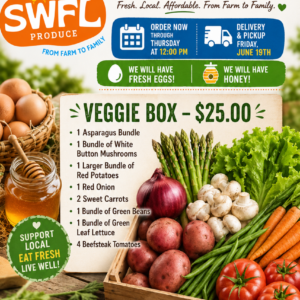 Vegetable Box