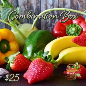 Combo Box