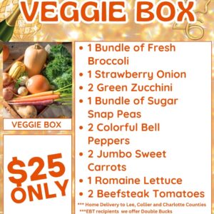 Vegetable Box