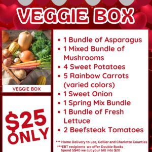 Vegetable Box