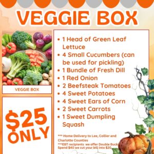 Vegetable Box