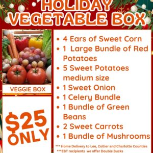Vegetable Box