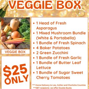 Vegetable Box