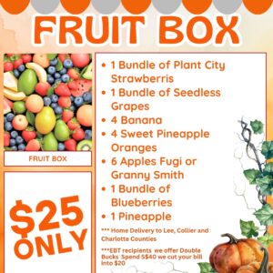 Weekly Fruit Box Subscription