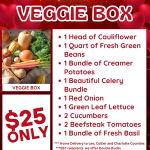 Vegetable Box