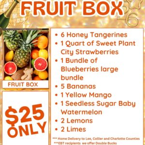 Weekly Fruit Box Subscription