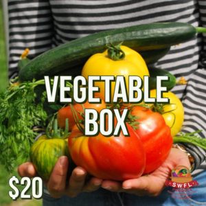 Vegetable Box
