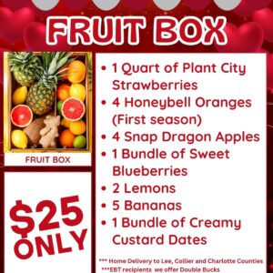 Fruit Box