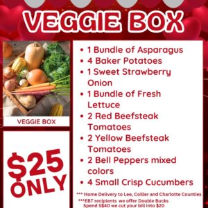 Vegetable Box