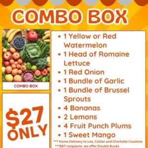 Combo Box