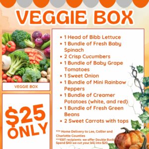 Bi-Monthly Vegetable Box Subscription