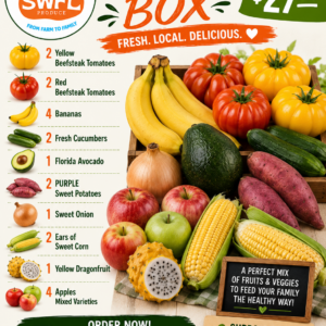 Combo Box