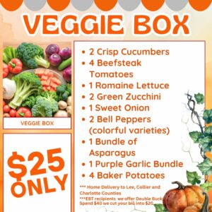 Vegetable Box