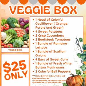 Bi-Monthly Vegetable Box Subscription