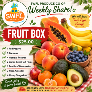 Fruit Box