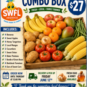 Combo Box