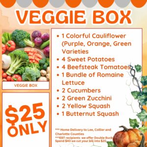 Vegetable Box