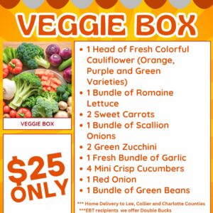 Vegetable Box