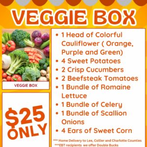 Bi-Monthly Vegetable Box Subscription