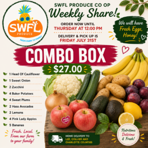 Combo Box