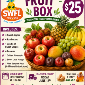 Fruit Box
