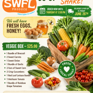 Vegetable Box