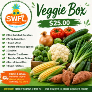 Vegetable Box