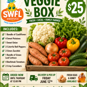 Vegetable Box