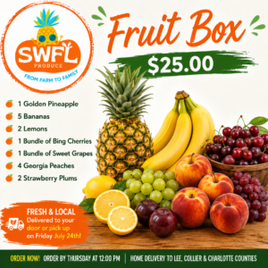 Fruit Box