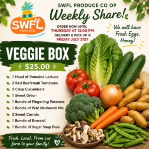 Vegetable Box