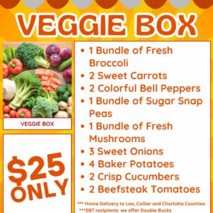 Vegetable Box