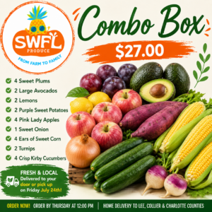Combo Box
