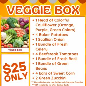 Vegetable Box