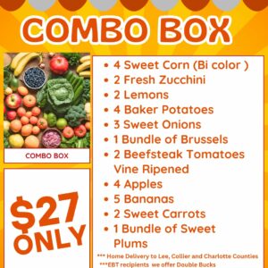 Combo Box