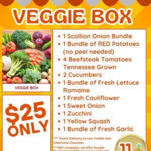 Weekly Vegetable Box Subscription