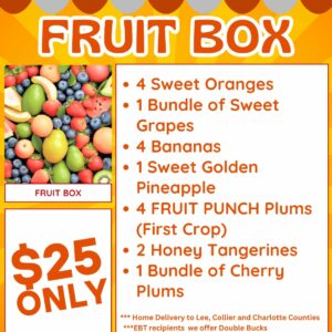 Fruit Box