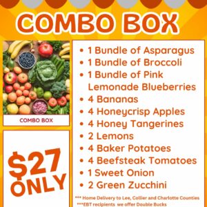 Combo Box