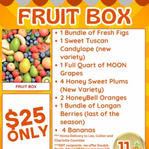 Weekly Fruit Box Subscription