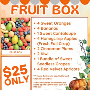 Weekly Fruit Box Subscription