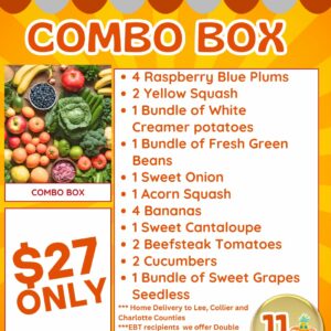 Combo Box