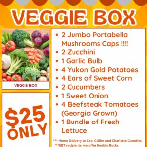 Vegetable Box