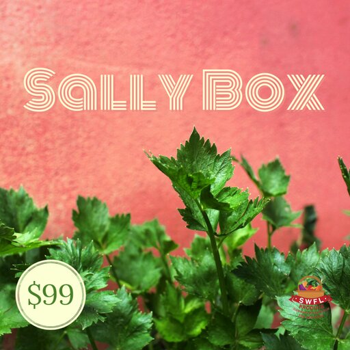 Sally Box