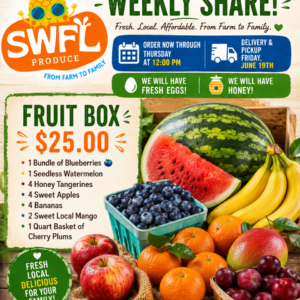 Fruit Box