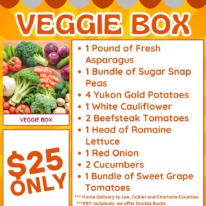 Bi-Monthly Vegetable Box Subscription