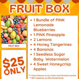Weekly Fruit Box Subscription