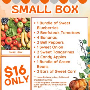 Small Box