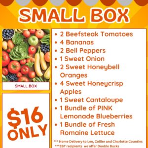 Small Box