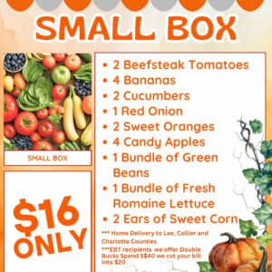 Small Box