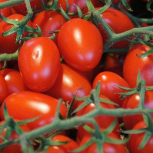 Rainbow Grape Tomatoes