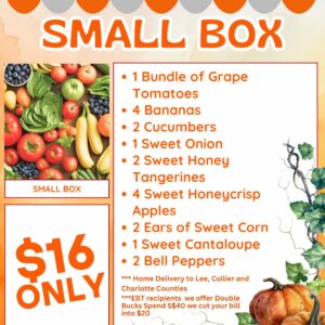 Small Box